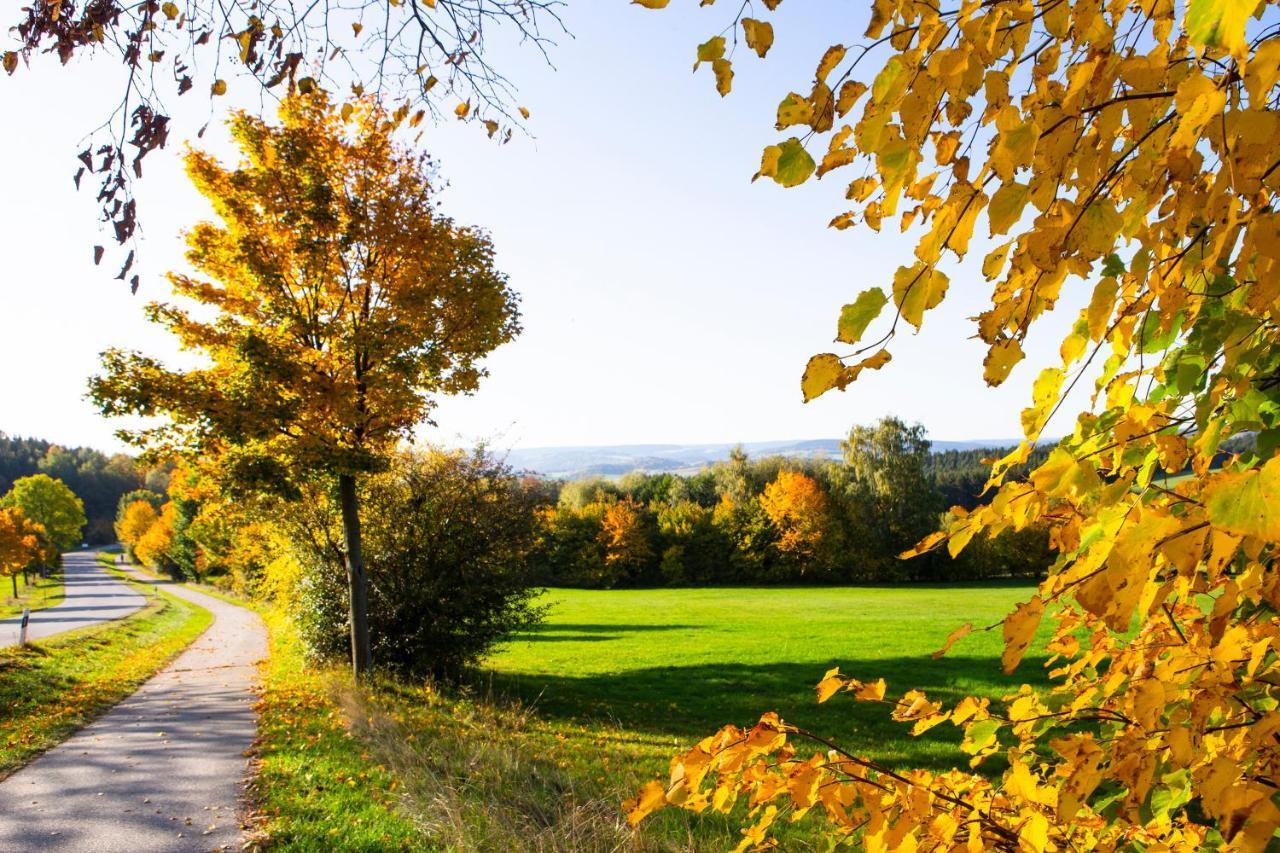 Pension Haus Fuerstenberg Gruenhain-Beierfeld Экстерьер фото